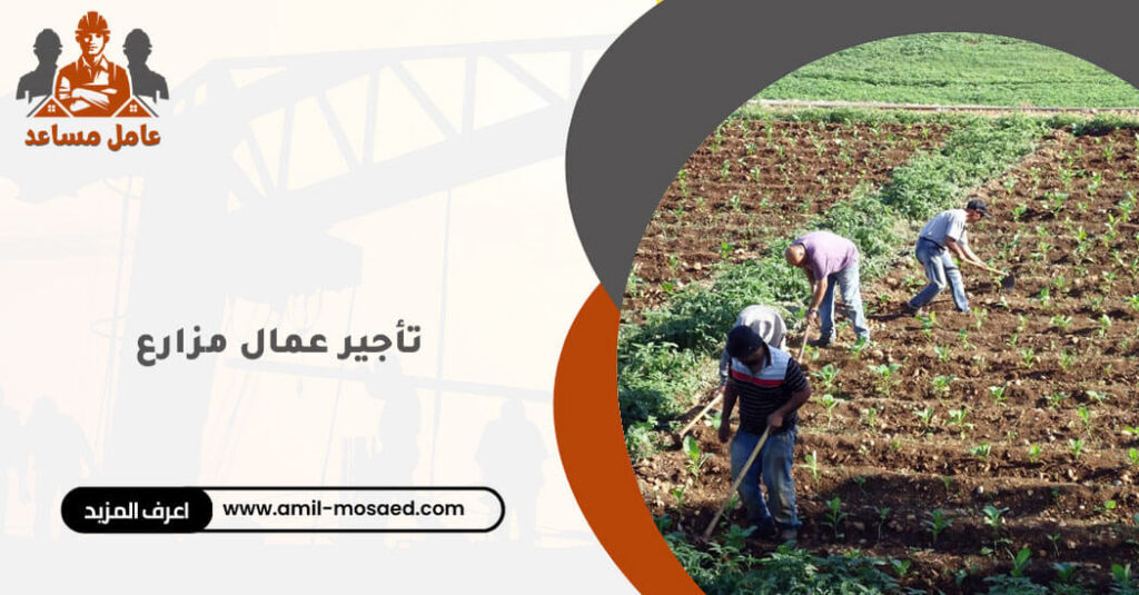 تأجير عمال مزارع